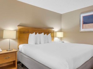 Aladdin Inn | Kelso
