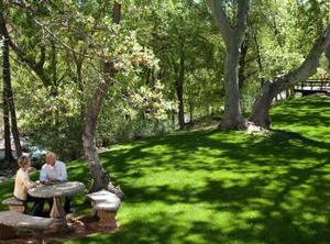 Arroyo Hotel Creekside Villas | Uptown Sedona