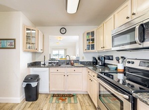 Bethany Bay Anderson | Ocean View