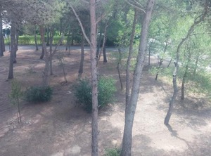 Bilo | Acaya