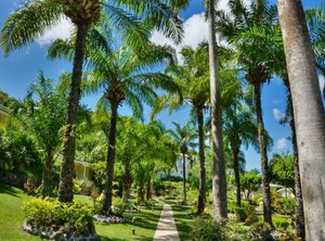 Blue Horizons Garden Resort | Morne Rouge