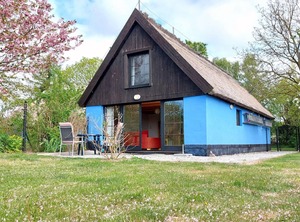 Blue | Pantow