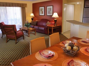 Tree Resort Saturday | Florida Central Atlantic Coast