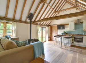 Bluebell | Cranbrook