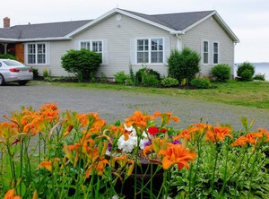 Bluewaters Bachelor | Vernon Bridge