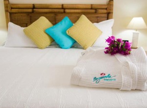 Bougainvillea Barbados | Maxwell