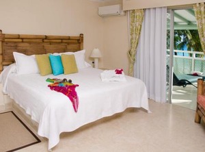 Bougainvillea Barbados | Maxwell