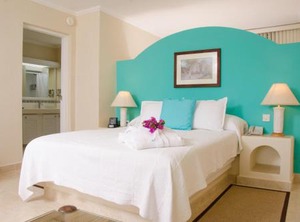 Bougainvillea Barbados | Maxwell