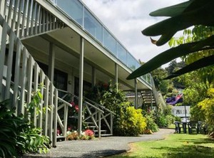 Bounty Motel | Paihia