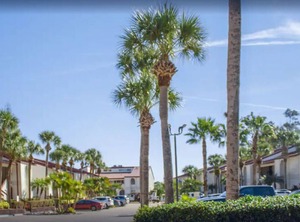 Bryan Cove Saturday | Florida Central Atlantic Coast
