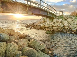 Buller | Bockholm