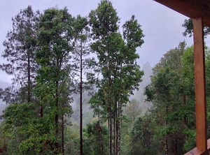 Cabaña En El Bosque De San José Del Pacífico | San Jose del Pacifico