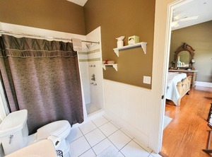 Camellia | Gainesville