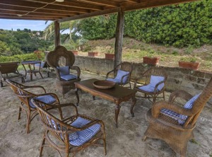 Carbonaia Palaia | Palaia
