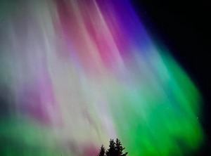 Cariboo Log | Lac La Hache
