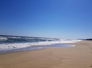 Beach Kamchia | Avren