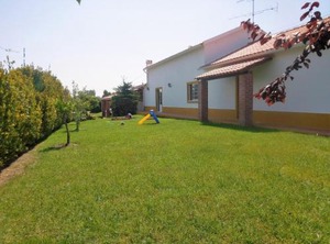 Casa Amoreira De Óbidos | Amoreira
