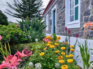 Casa | Nordeste