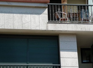 Palmeira | Insuela