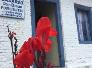 Casa | Old Town