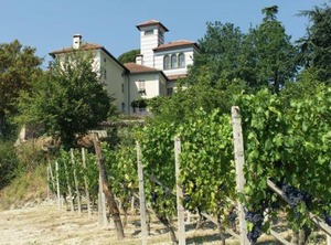 Grillano | Ovada