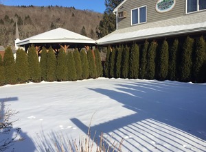 Catskills Adventures | Roscoe