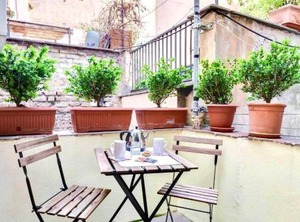 Cedro | Trastevere