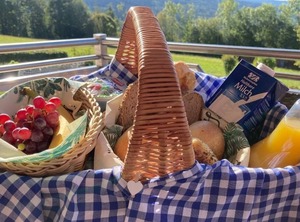 Vrbo Property | Mauth