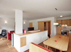 Maisonnette | Wald im Pinzgau