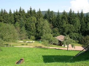 Chalet Ventron Terrace | Ventron