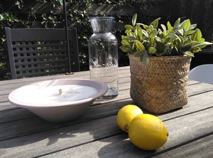 Chalet Dishwasher | IJhorst