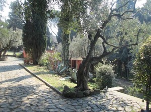 Cottage Hill | Grottaferrata