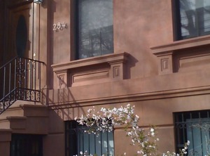 Carroll Gardens | Carroll Gardens