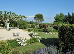 Provence The Heart Of Vines | Sarrians