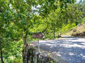 Enclosed Garden At Vilar | Mondim de Basto