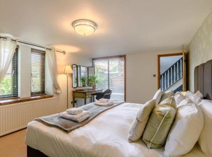 Chestnut | Runham