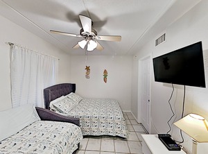 Habitat | South Padre Island
