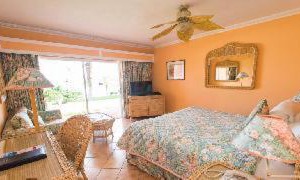 Reef Bermuda | Paget