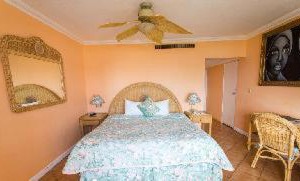 Reef Bermuda | Paget