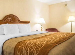 Comfort Inn Binghamton | Binghamton