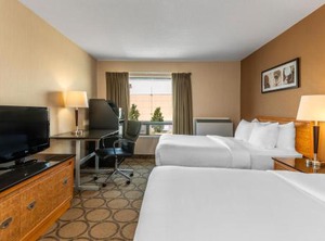 Comfort Inn Highway | Kingston