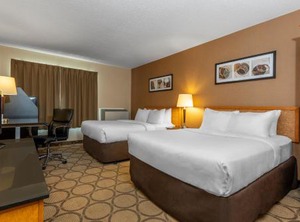 Comfort Inn Highway | Kingston