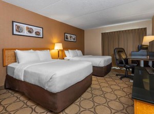 Comfort Inn Highway | Kingston