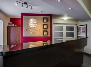Little Italy | Boucherville