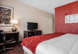 Comfort Inn Stadium | Mott Haven