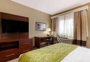 Comfort Inn Suites Page At Powell | Page