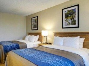 Comfort Inn Suites Bryant Benton | Downtown Little Rock