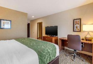 Hampton Inn Schenectady | Scotia