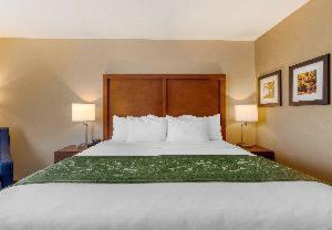 Hampton Inn Schenectady | Scotia
