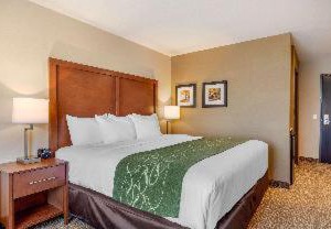 Hampton Inn Schenectady | Scotia